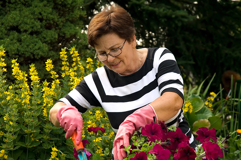 Senior lady in the garden